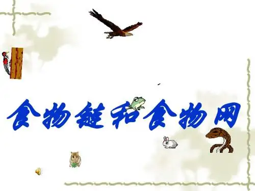 6.2食物链与食物网课件