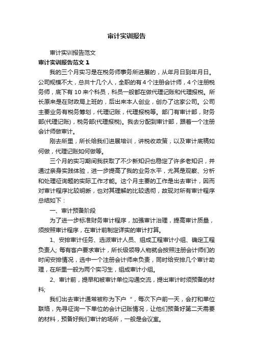 审计实训报告