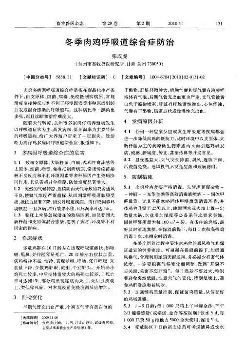 冬季肉鸡呼吸道综合症防治