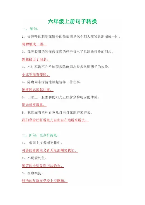 六年级上册句子转换