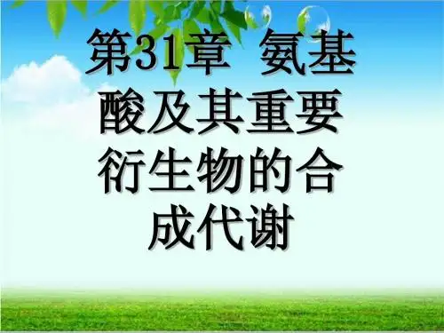 王镜岩-生物化学-第31章氨基酸及其重要衍生物的合成代谢