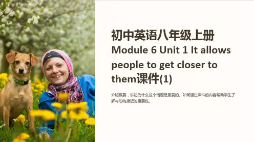 初中英语八年级上册Module 6 Unit 1 It allows people to get c