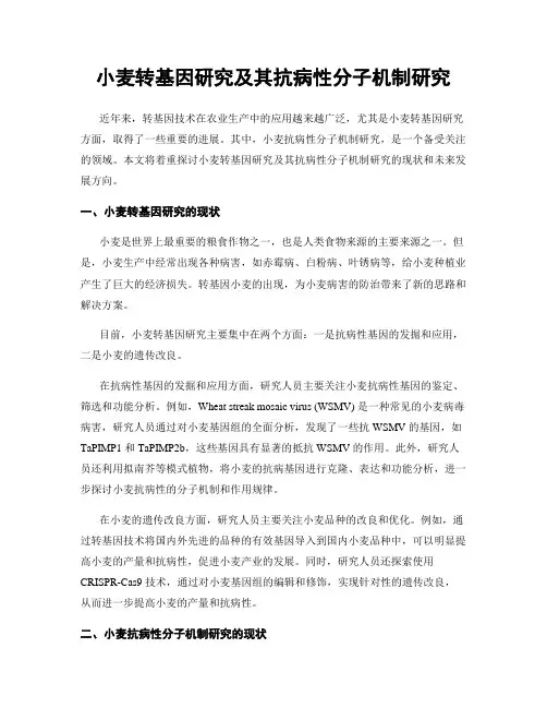 小麦转基因研究及其抗病性分子机制研究