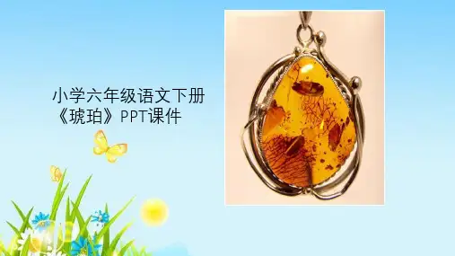 小学六年级语文下册《琥珀》PPT课件