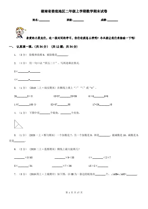 湖南省娄底地区二年级上学期数学期末试卷