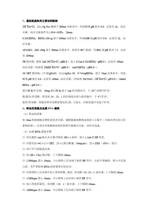 血液中DNA的提取