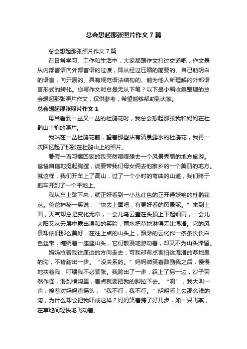 总会想起那张照片作文7篇