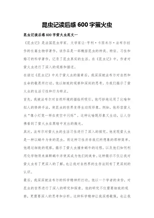 昆虫记读后感600字萤火虫