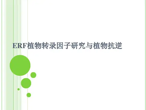 ERF植物转录因子与植物抗逆研究