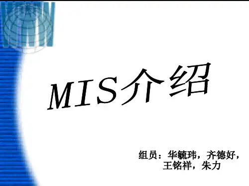 管理信息系统(MIS)介绍