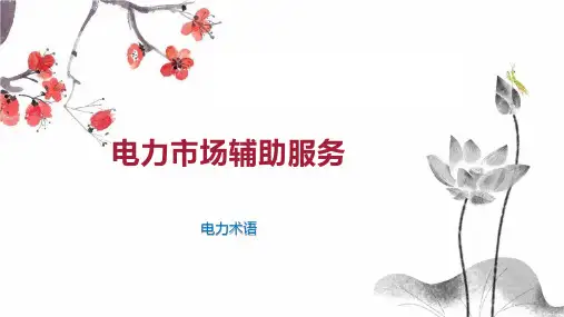 电力市场辅助服务