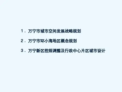 万宁市城空间发展战略规划