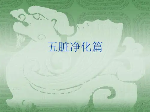 五脏净化排毒PPT课件