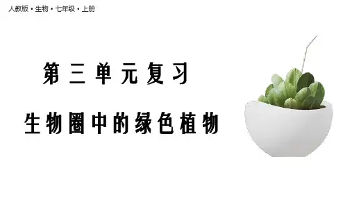 人教版生物七年级上册第三单元《生物圈中的绿色植物》复习课件