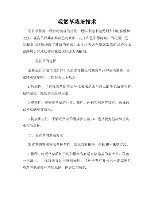 观赏草栽培技术