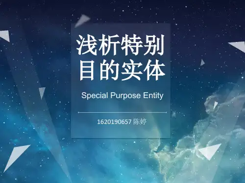 审计 特别目的实体