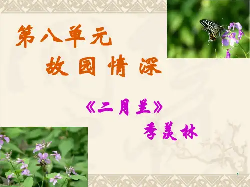 季羡林《二月兰》+ppt课件