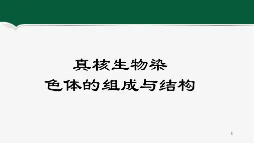 真核生物染色体的组成与结构