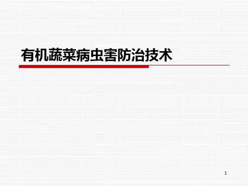 有机蔬菜病虫害防治PPT课件