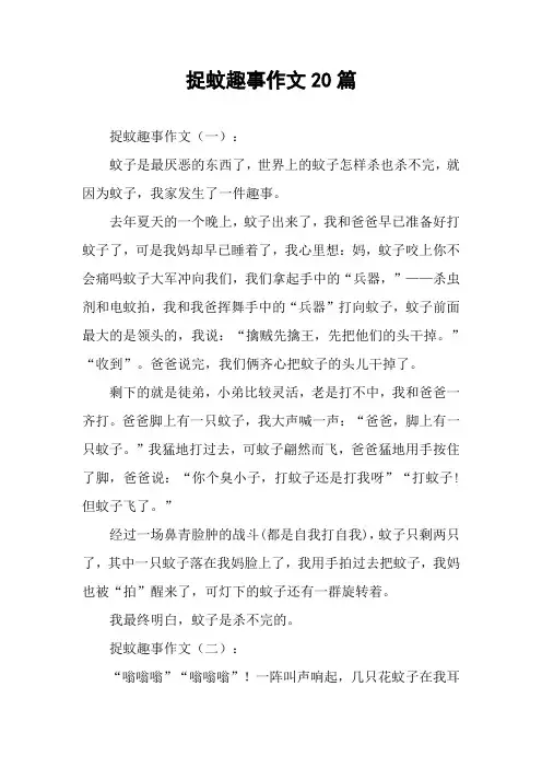 捉蚊趣事作文20篇