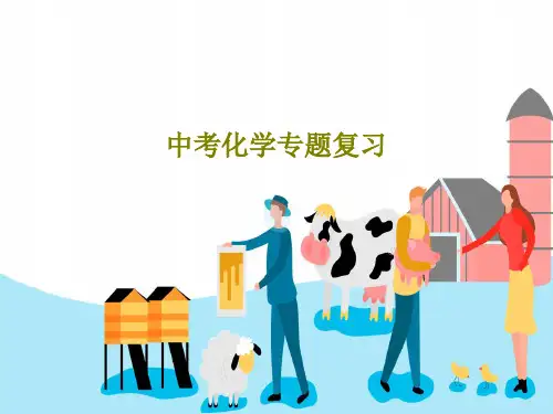 中考化学专题复习共40页PPT