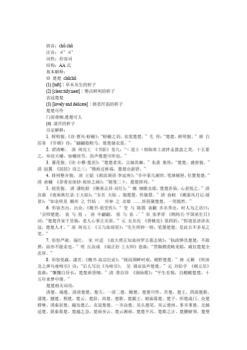 楚楚相关词语解释