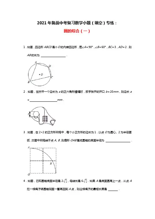 2021年备战中考复习数学小题(填空)专练：圆的综合(一)