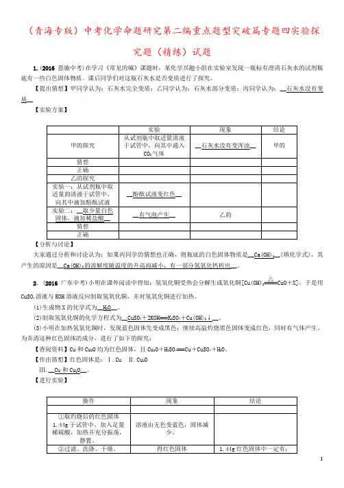 (青海专版)中考化学命题研究第二编重点题型突破篇专题四实验探究题(精练)试题