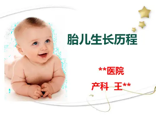 胎儿生长历程PPT课件