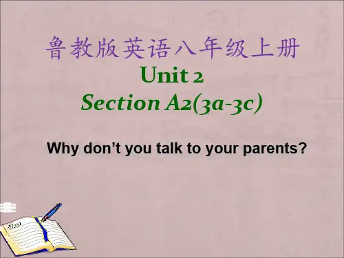 鲁教五四学制版八年级上册英语课件： Unit 2  Unit 2 Section A2(3a-3c)
