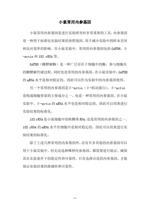 小鼠常用内参基因