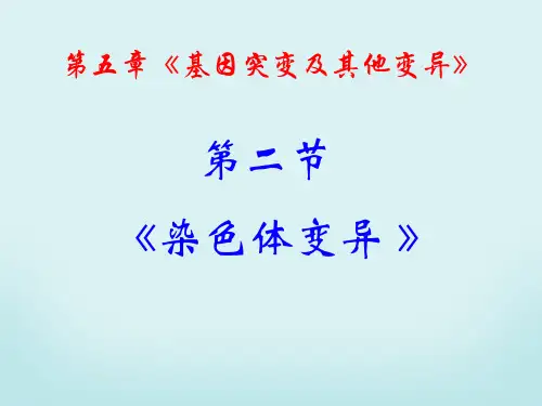 新人教版高中生物必修二：第5章-基因突变及其他变异