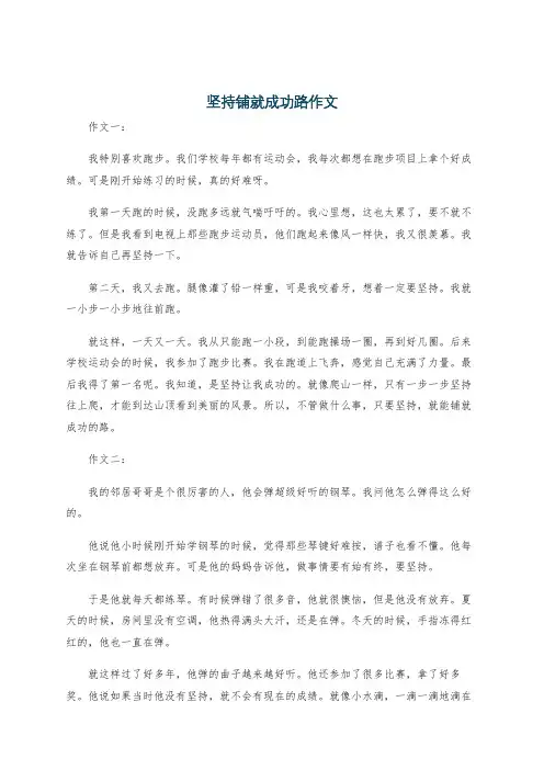 坚持铺就成功路作文