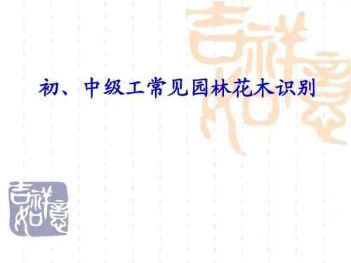 实操考试题
