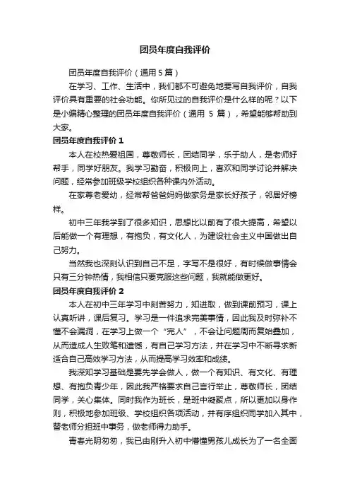 团员年度自我评价