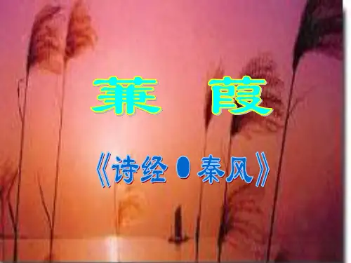 语文：6.24《蒹葭》课件(2)(新人教版九年级下册)
