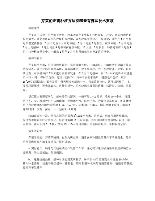 芹菜的正确种植方法有哪些有哪些技术要领 2