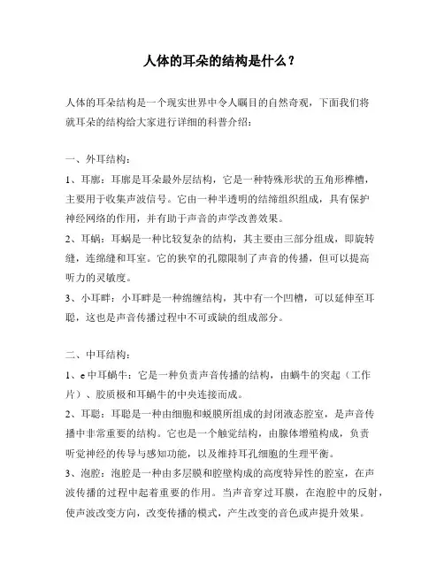 人体的耳朵的结构是什么？