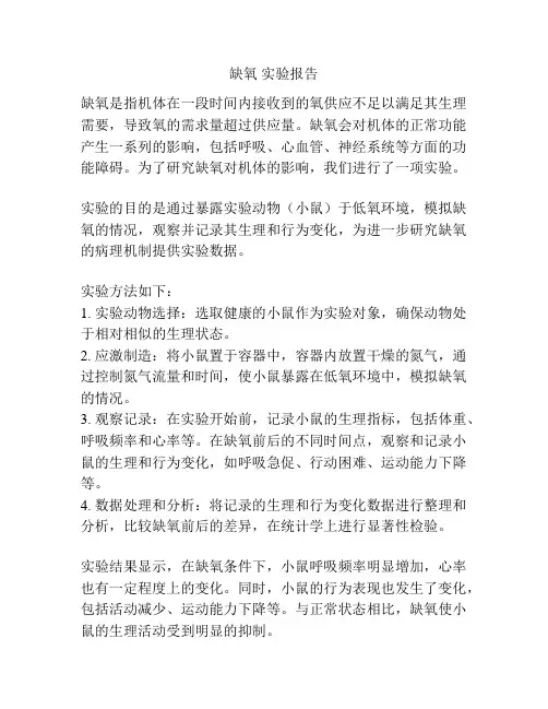 缺氧 实验报告