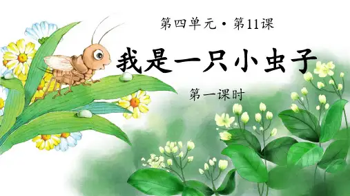 人教部编版二年级语文下册第11课《我是一只小虫子》精品课件