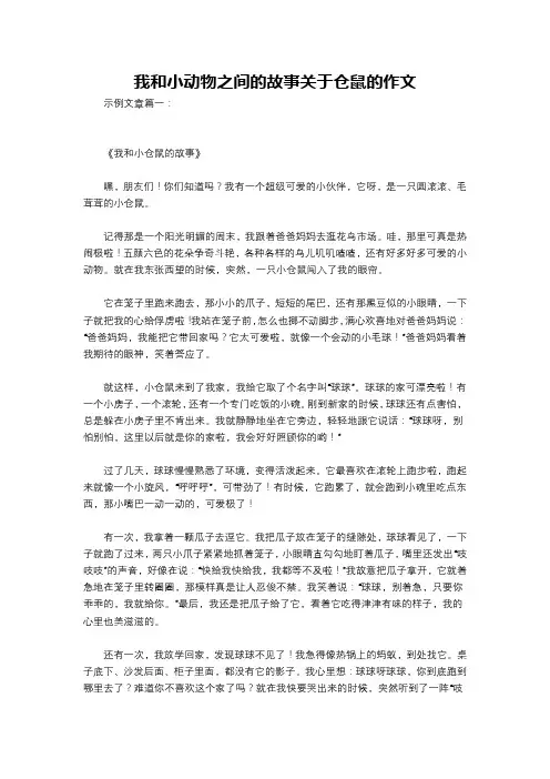 我和小动物之间的故事关于仓鼠的作文