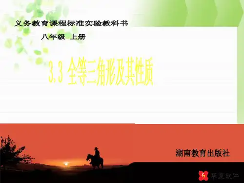 湘教版八年级上3.3全等三角形及其性质课件ppt