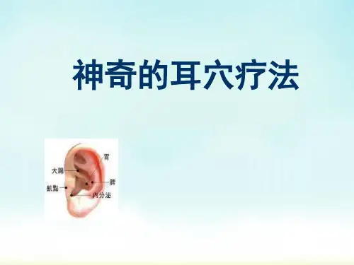 耳穴PPT医学课件