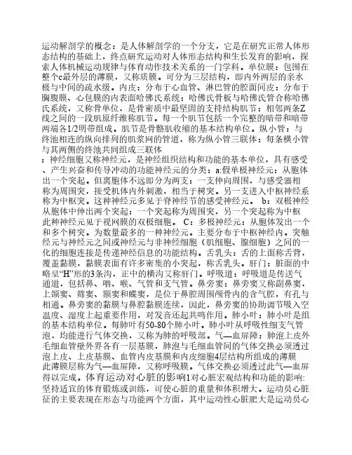 运动解剖学复习资料超全面