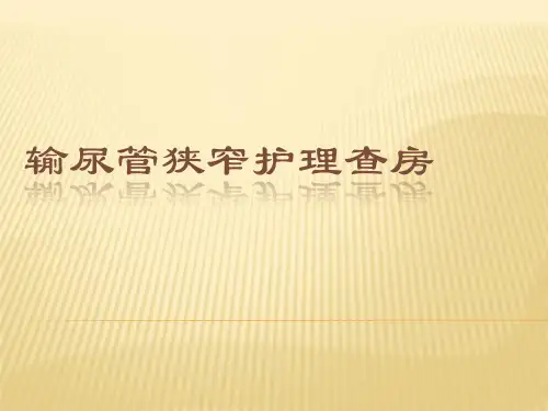 输尿管狭窄护理查房