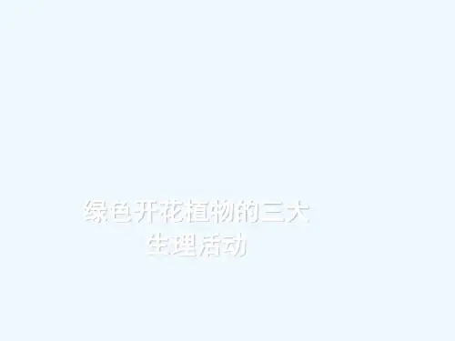 绿色开花植物三大生理活动