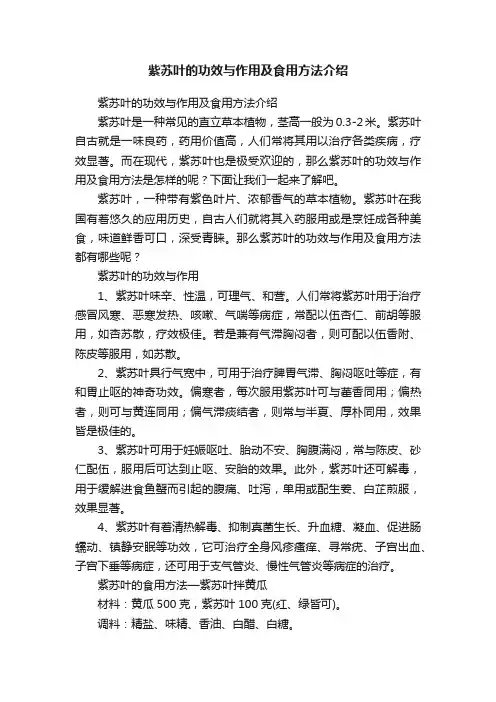 紫苏叶的功效与作用及食用方法介绍