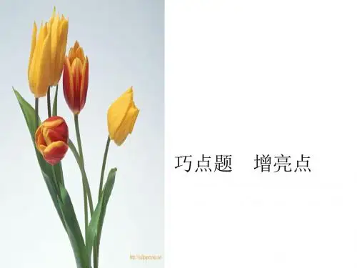 初中作文指导：巧点题,增亮点优秀课件