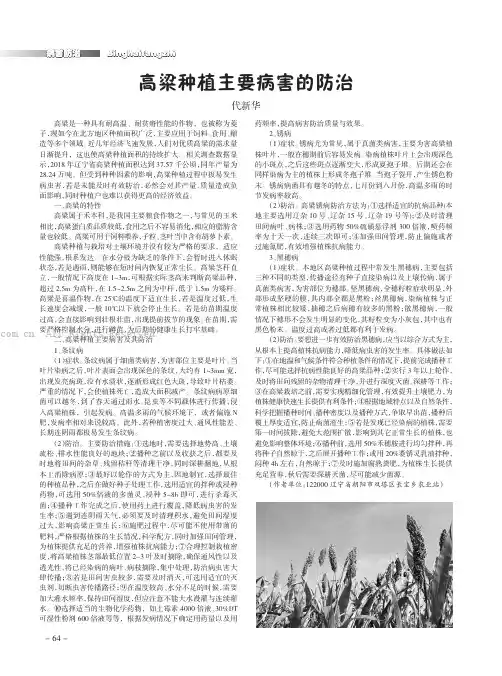 高粱种植主要病害的防治