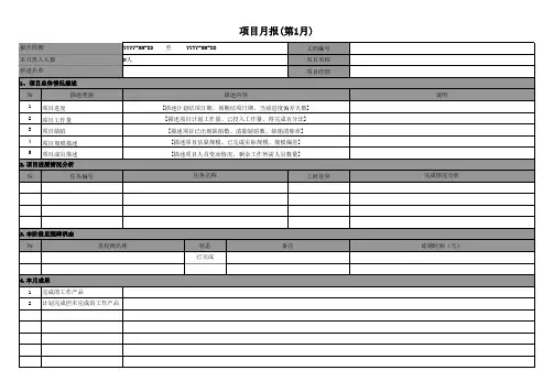 项目月报模板